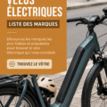Sélection de divers vélos électriques de différentes marques sur fond neutre.