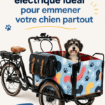 Un vélo cargo électrique avec un espace sécurisé pour un chien dans un cadre urbain